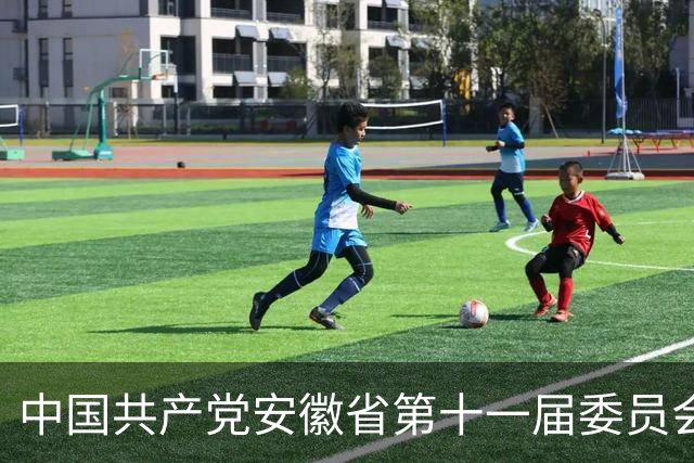 中国共产党安徽省第十一届委员会第十三次全体会议决议