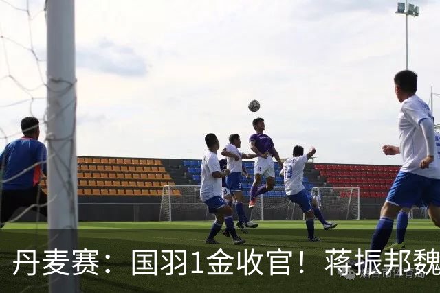 丹麦赛：国羽1金收官！蒋振邦/魏雅欣2-1首度封王，凤凰组合无缘4连冠