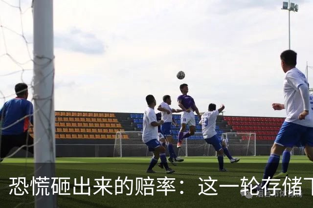 恐慌砸出来的赔率：这一轮存储下跌，还是底吗？