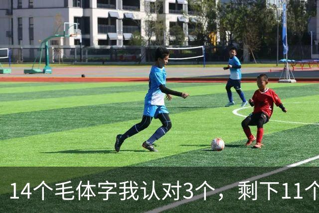 14个毛体字我认对3个，剩下11个交给你了！写大字时手臂幅度变大，细笔画怎么做到收放自如？